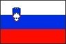 sloven flag ile ilgili görsel sonucu sloven flag ile ilgili görsel sonucu