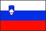 sloven flag ile ilgili görsel sonucu sloven flag ile ilgili görsel sonucu